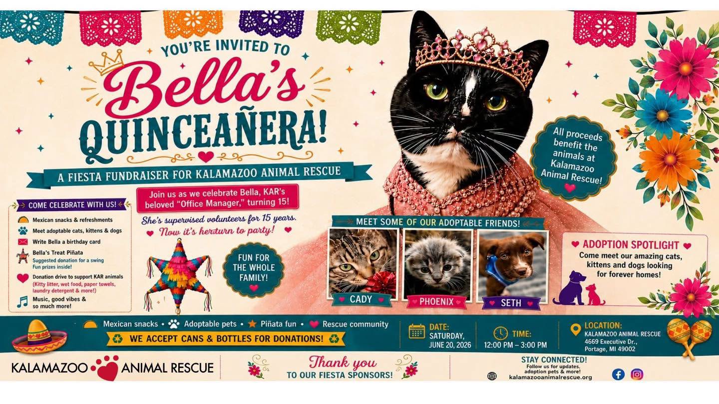 Bella's Quinceañera