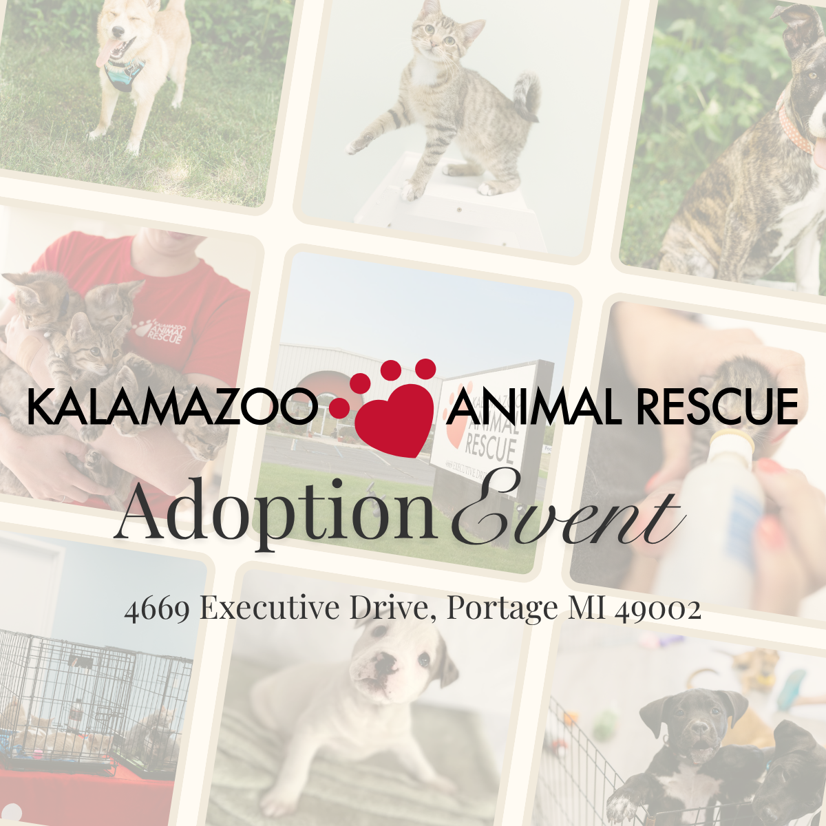 Adoption Event Generic KAR