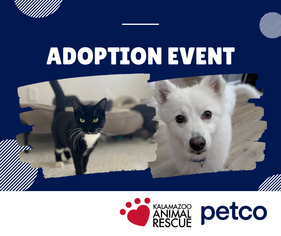 Copy of ADOPTION EVENT