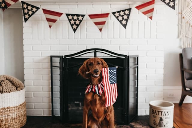 Brown dog holding American flag in mouth